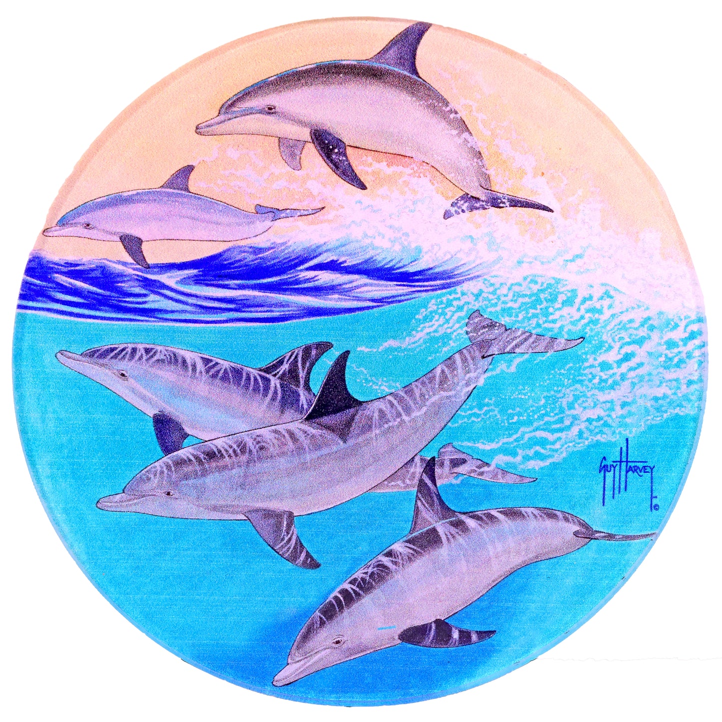 Guy Harvey Round Drink Coasters ( Set of 6 )
