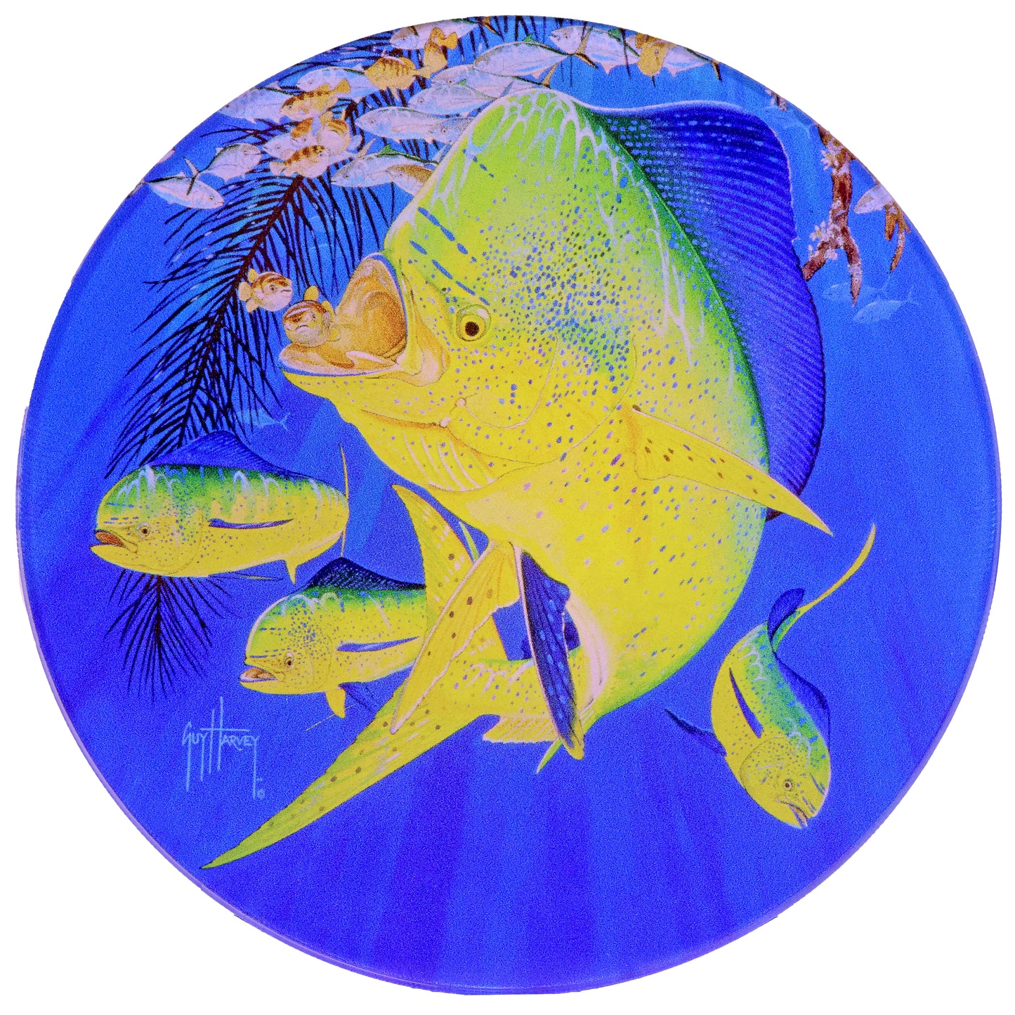 Guy Harvey Round Drink Coasters ( Set of 4 )