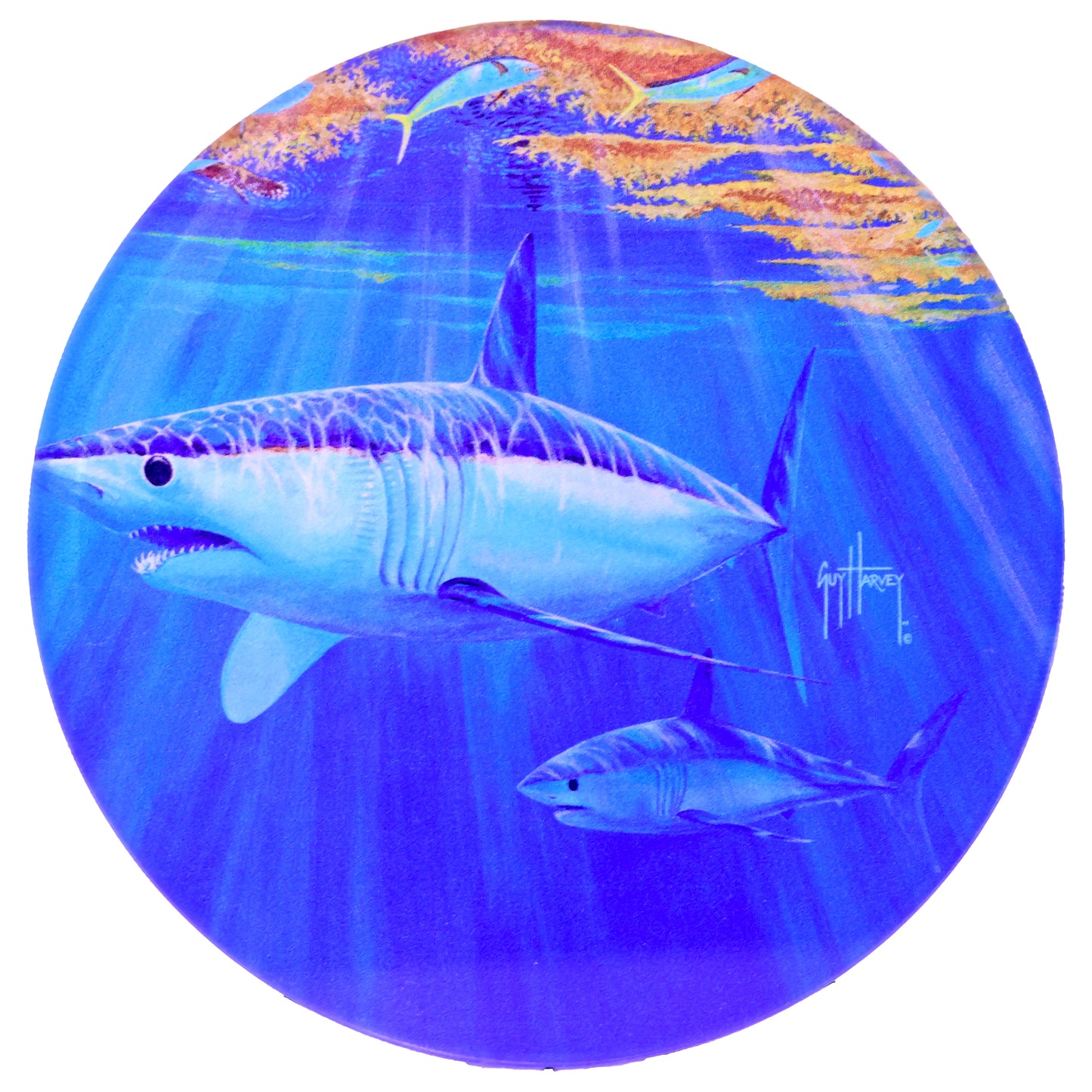 Guy Harvey Round Drink Coasters ( Set of 6 )