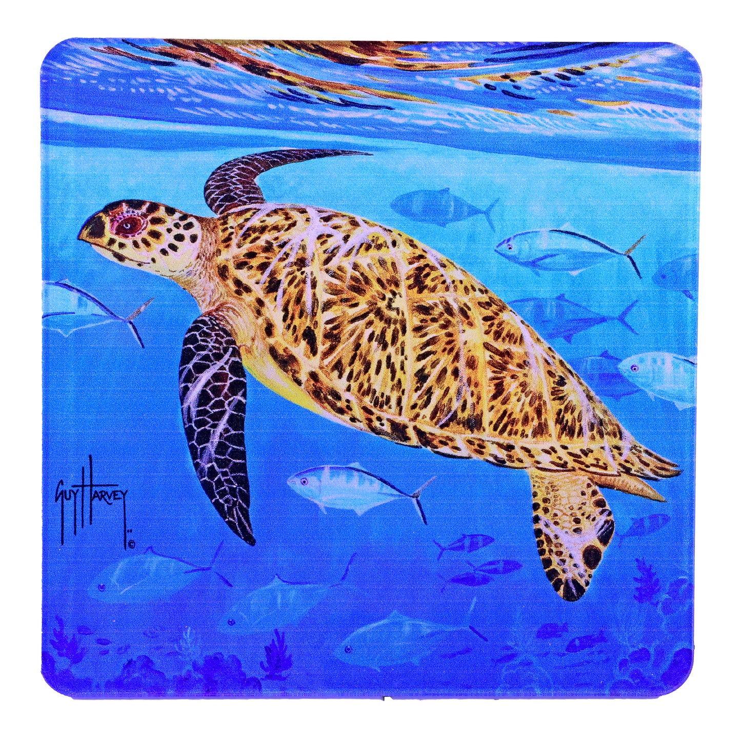 Guy Harvey Sea Turtles Square Coasters (Set of 4)