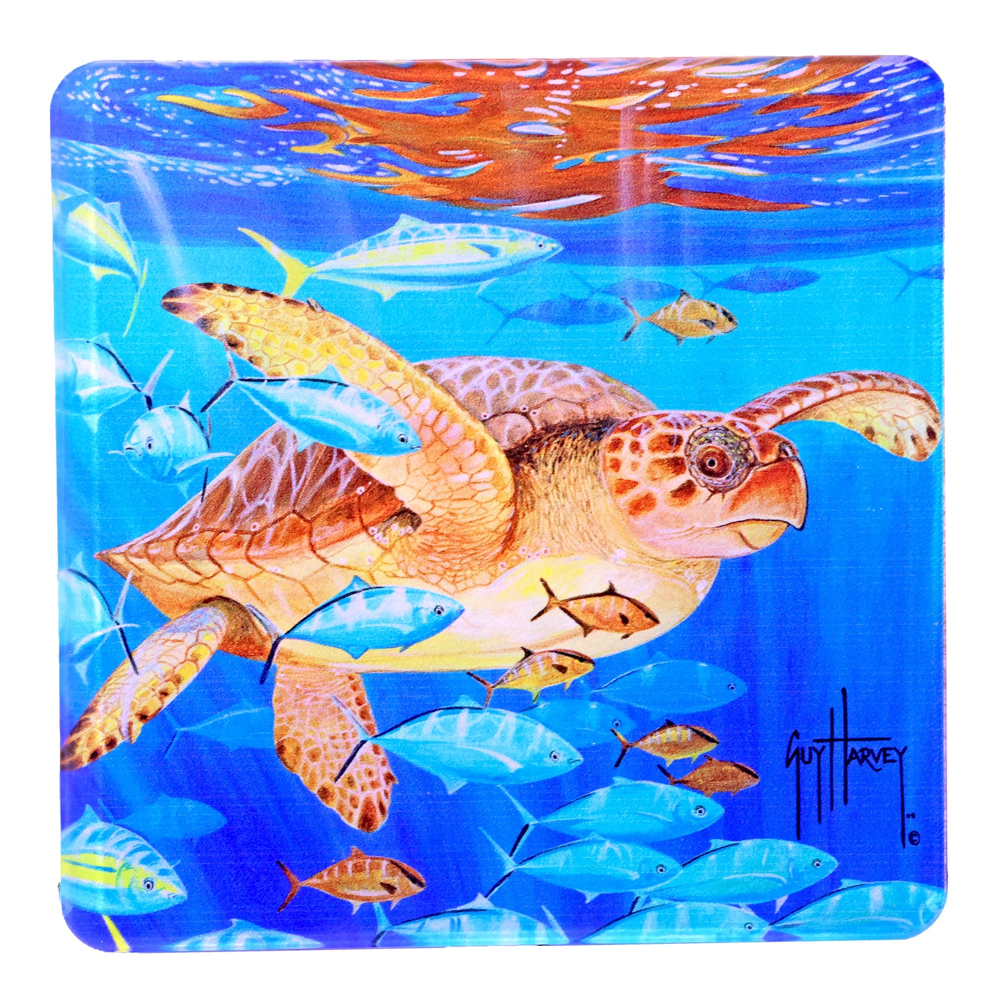 Guy Harvey Sea Turtles Square Coasters (Set of 4)