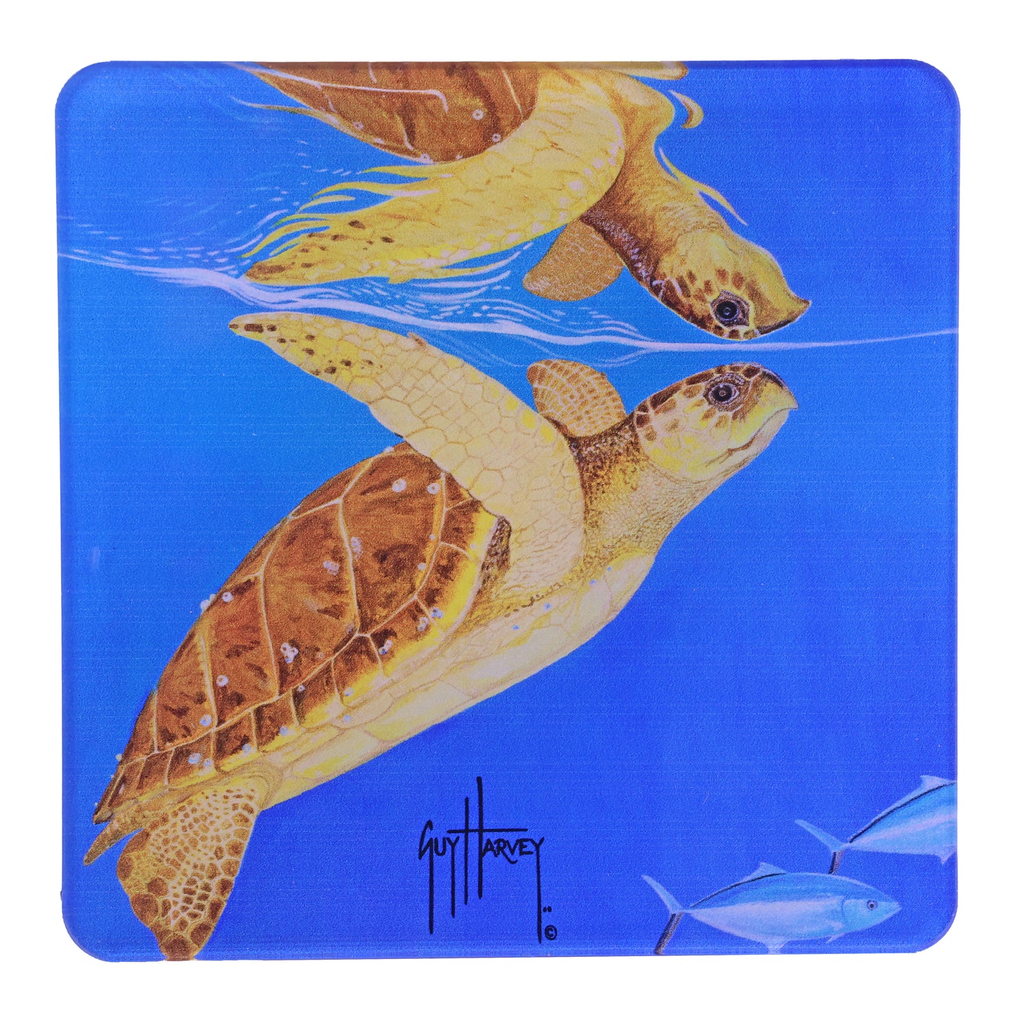 Guy Harvey Sea Turtles Square Coasters (Set of 6)