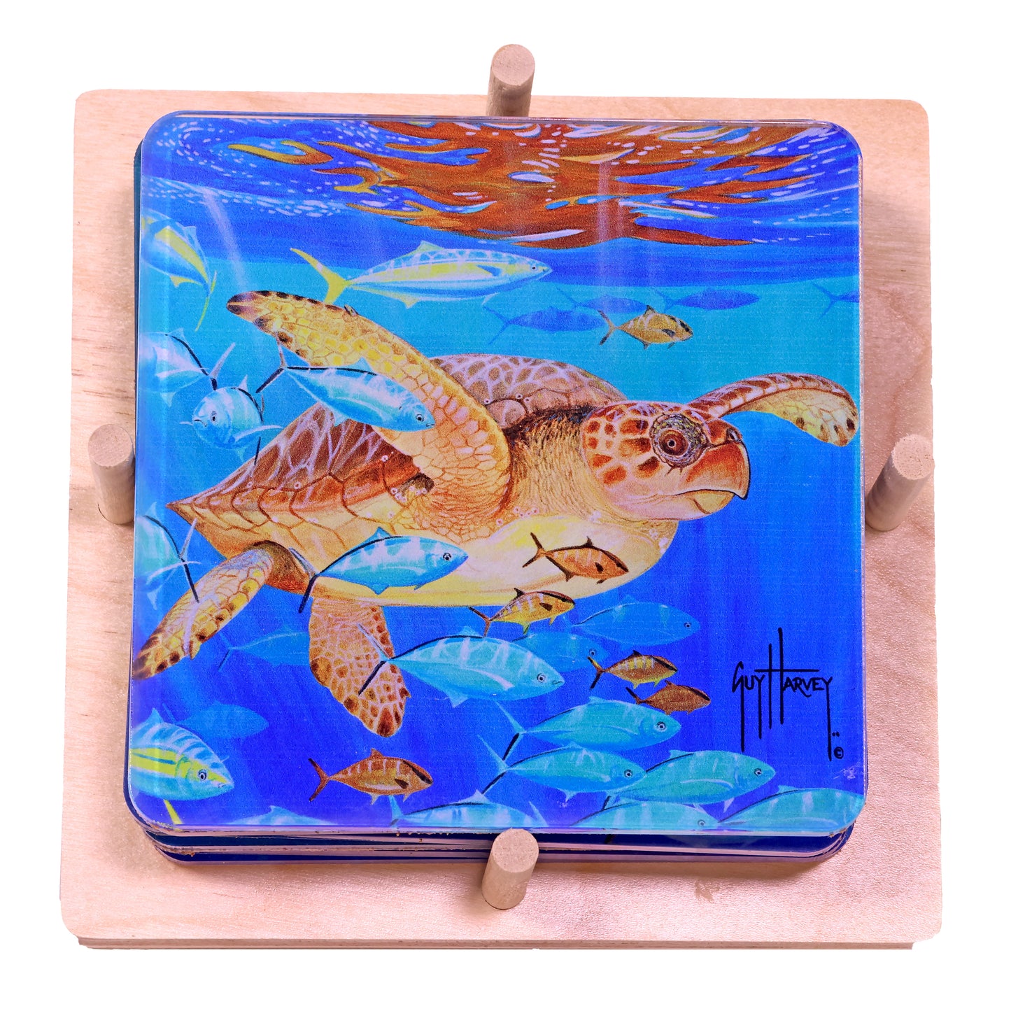 Guy Harvey Sea Turtles Square Coasters (Set of 6)