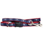 South Carolina Flag Collar & 6-Foot Leash Set