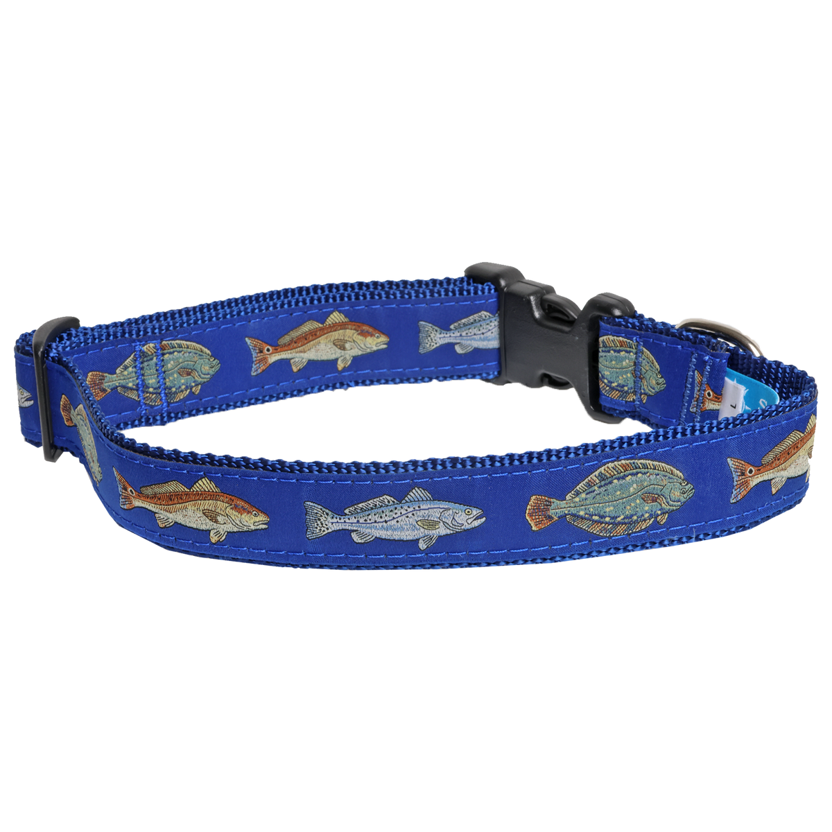 Carolina Slam Dog Collar & Matching 6 Foot Leash Combo