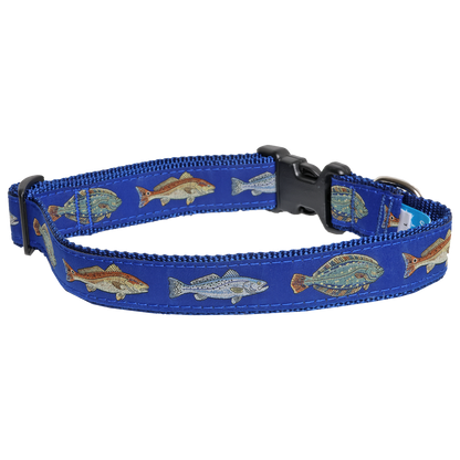 Carolina Slam Dog Collar & Matching 6 Foot Leash Combo