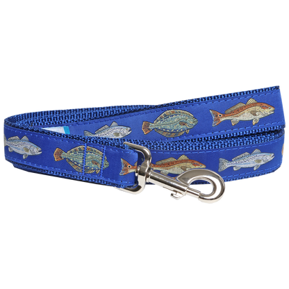 Carolina Slam Dog Collar & Matching 6 Foot Leash Combo