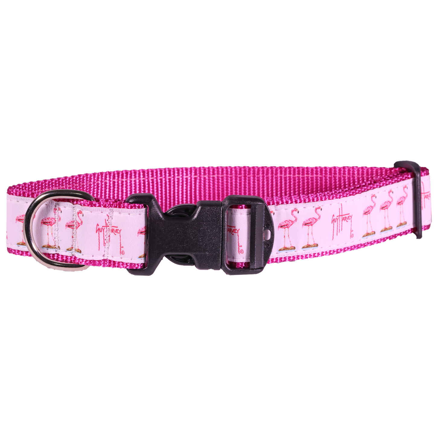 Guy Harvey Pink Flamingo Dog Collar