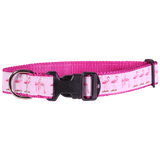 Guy Harvey Pink Flamingo Dog Collar