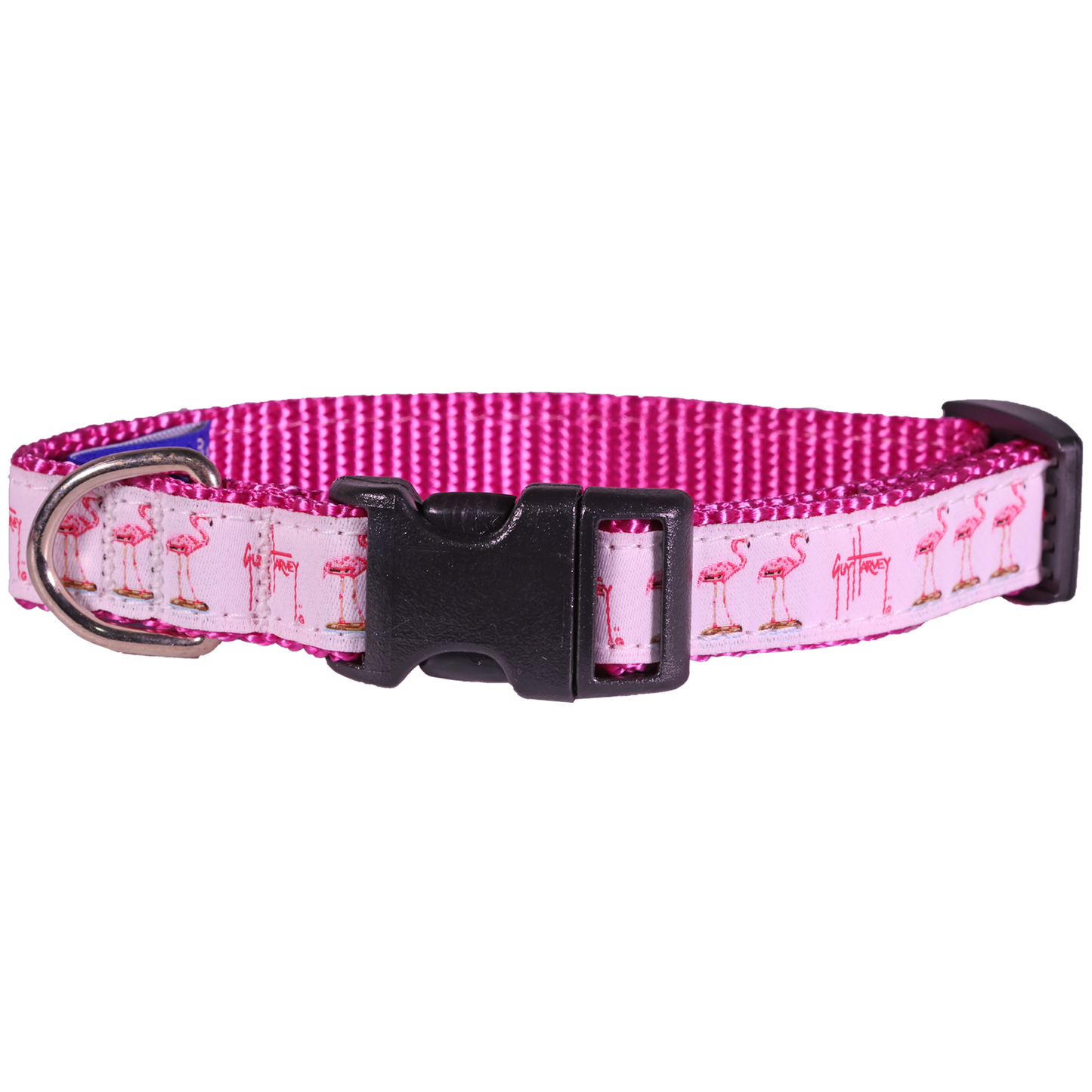 Guy Harvey Pink Flamingo Dog Collar