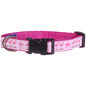 Guy Harvey Pink Flamingo Dog Collar