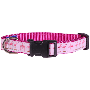 Guy Harvey Pink Flamingo Dog Collar