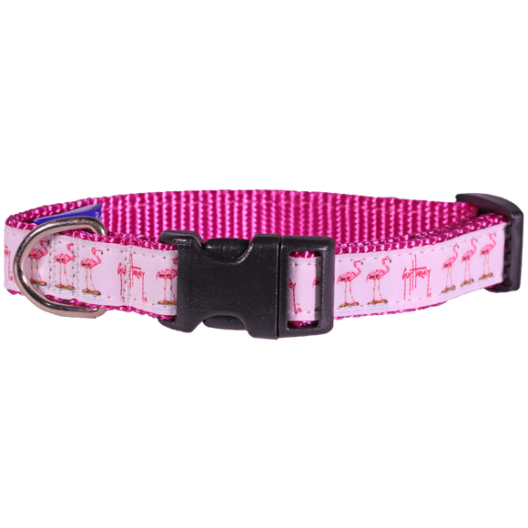 Guy Harvey Pink Flamingo Dog Collar