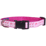 Guy Harvey Pink Flamingo Dog Collar