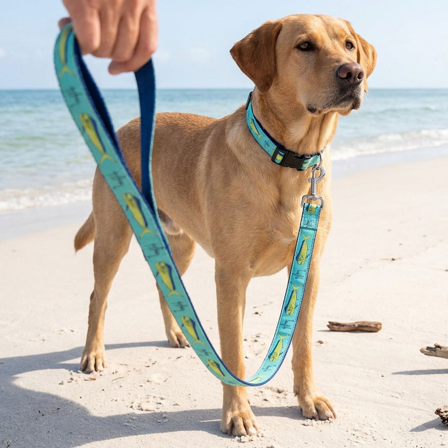 Guy Harvey Bull Dolphin Pattern Dog Collar