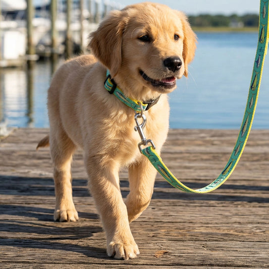 Guy Harvey 6" Offshore Dog Leash