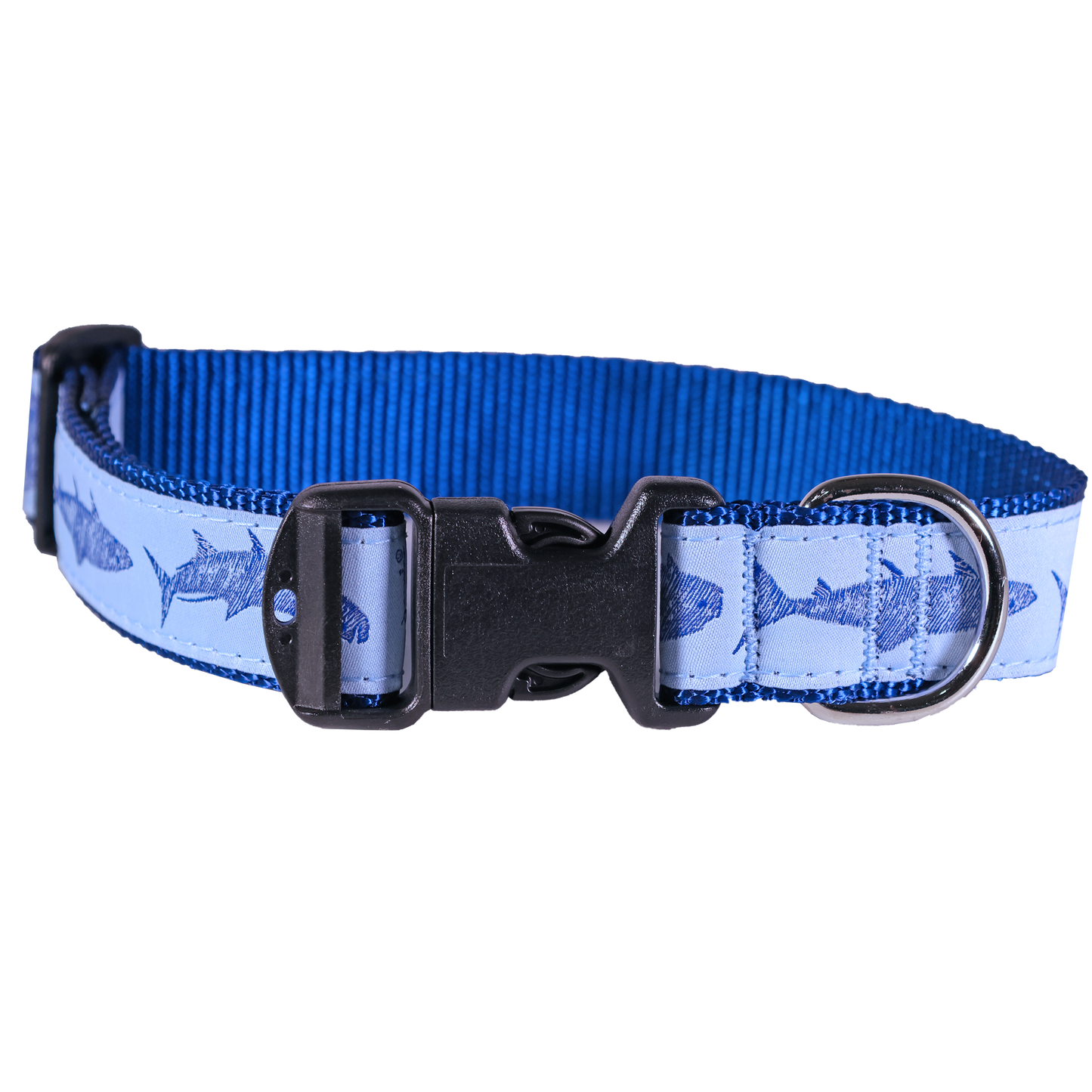 Guy Harvey Keys Slam Dog Collar