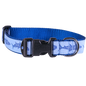 Guy Harvey Keys Slam Dog Collar