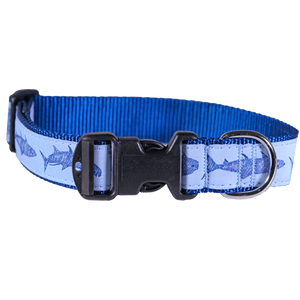 Guy Harvey Keys Slam Dog Collar