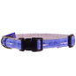 Guy Harvey Mako Shark Dog Collar