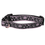 SoliVisk Sun Moon and Stars Cestial Dog Collars