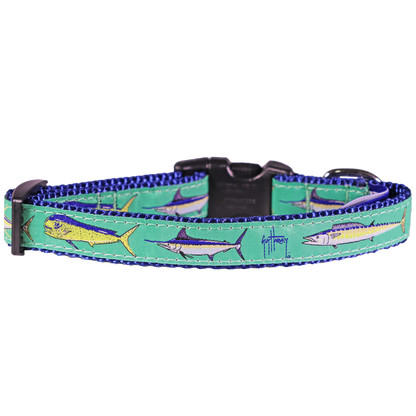 Guy Harvey Offshore Dog Collar – Sport Fish-Themed Marlin Dolphin Tuna