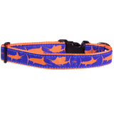 Guy Harvey Orange and Royal Blue Marlin Dog Collar