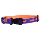 Guy Harvey Orange and Royal Blue Marlin Dog Collar