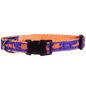 Guy Harvey Orange and Royal Blue Marlin Dog Collar