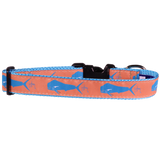 Guy Harvey Orange Dolphin Fish Dog Collar