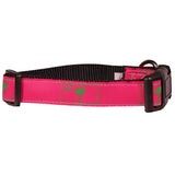 South Carolina Palmetto Moon State Flag Dog Collar