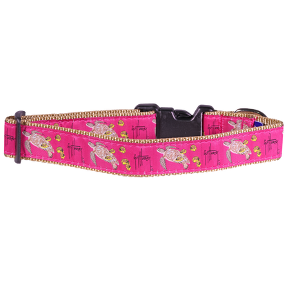 Guy Harvey Pink Sea Turtle Dog Collar