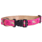 Guy Harvey Pink Sea Turtle Dog Collar
