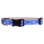 Guy Harvey Sportfisher Boat Dog Collar