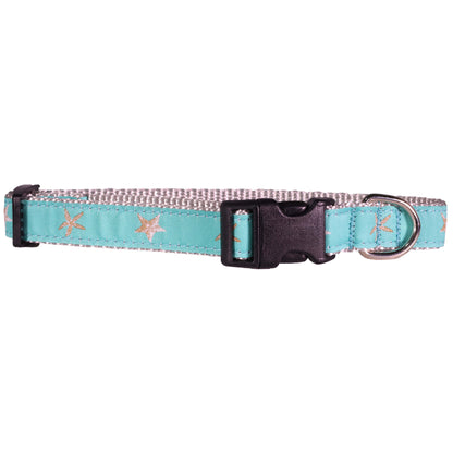 Ocean Starfish Aqua Dog Collar