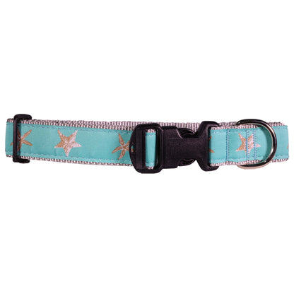 Ocean Starfish Aqua Dog Collar