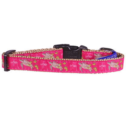 Guy Harvey Pink Sea Turtle Dog Collar