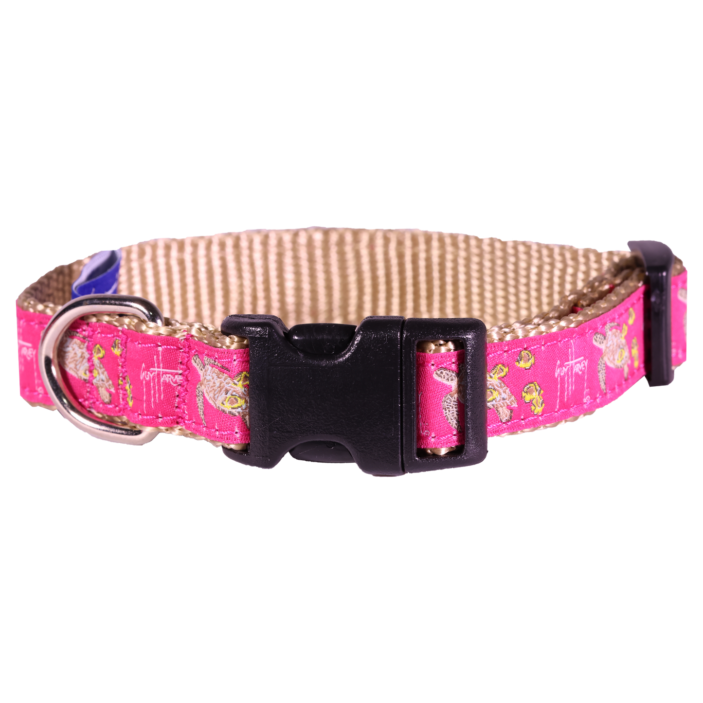 Guy Harvey Pink Sea Turtle Dog Collar