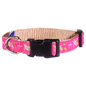 Guy Harvey Pink Sea Turtle Dog Collar