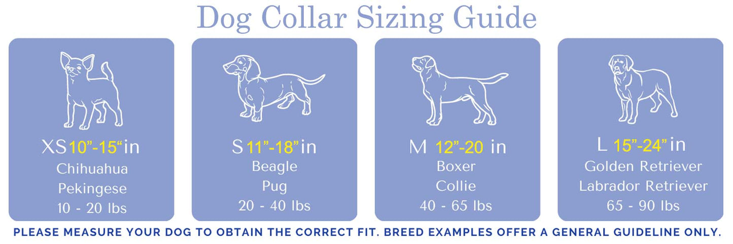 Guy Harvey Billfish Collage Dog Collar