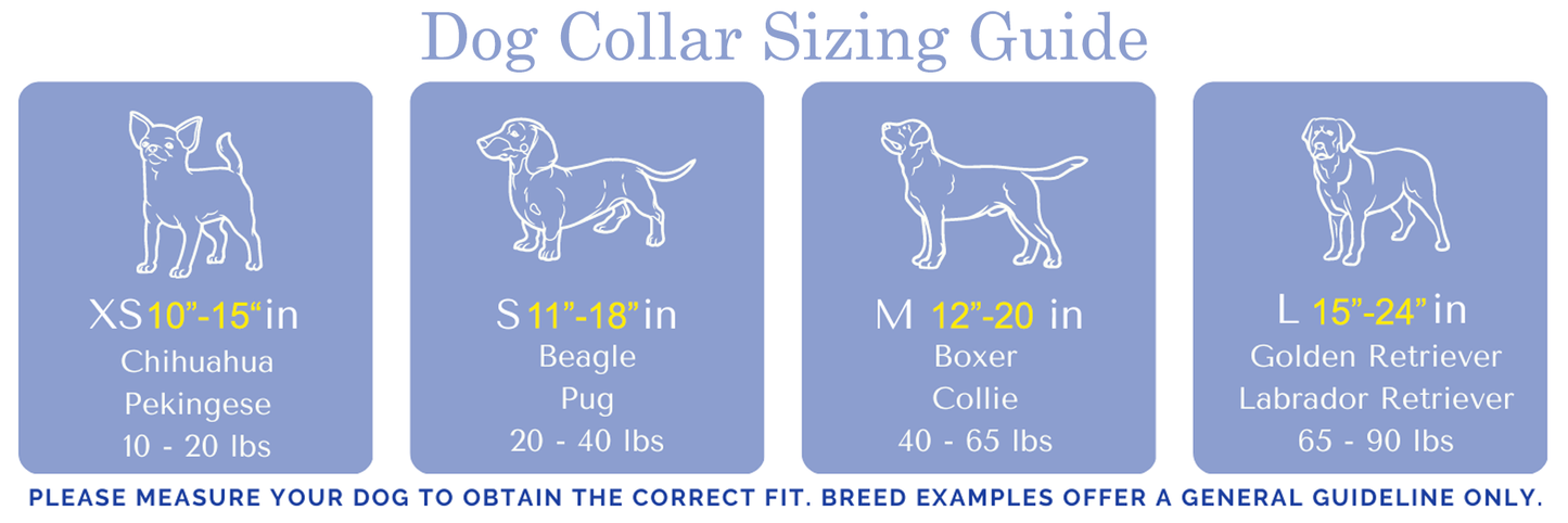 Guy Harvey Orange and Royal Blue Marlin Dog Collar