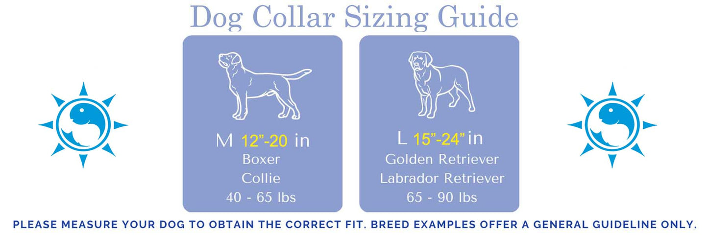 SoliVisk Waterfowl Duck Hunter Dog Collar USA Made