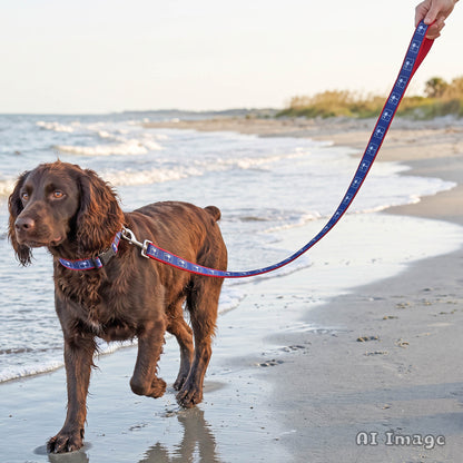 South Carolina Flag Collar & 6-Foot Leash Set
