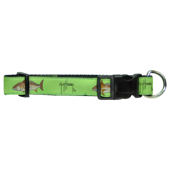 Guy Harvey Nylon Dog Collar Lime Green SpotTail Drum